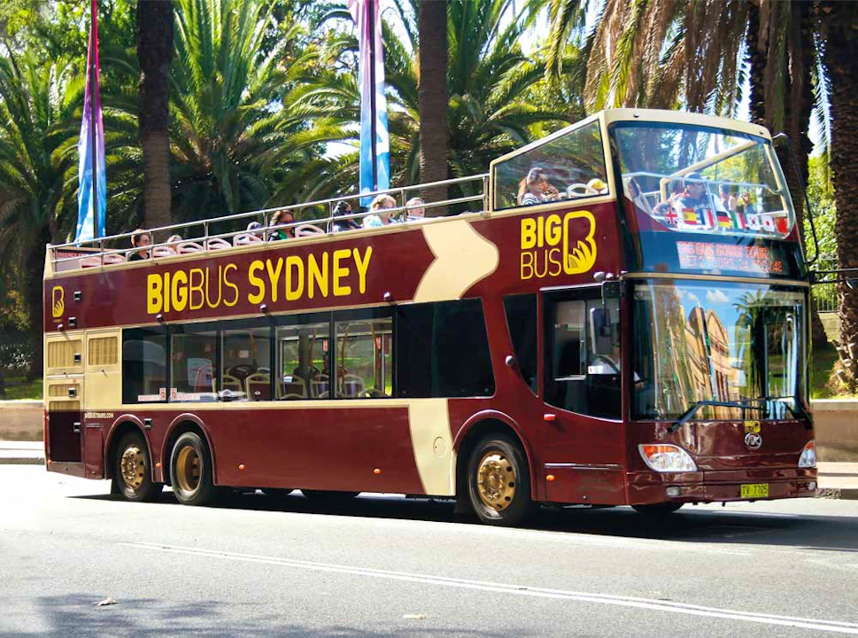 Sydney Bus Tour with Optional Hop-on-Hop-off Harbour Cruise